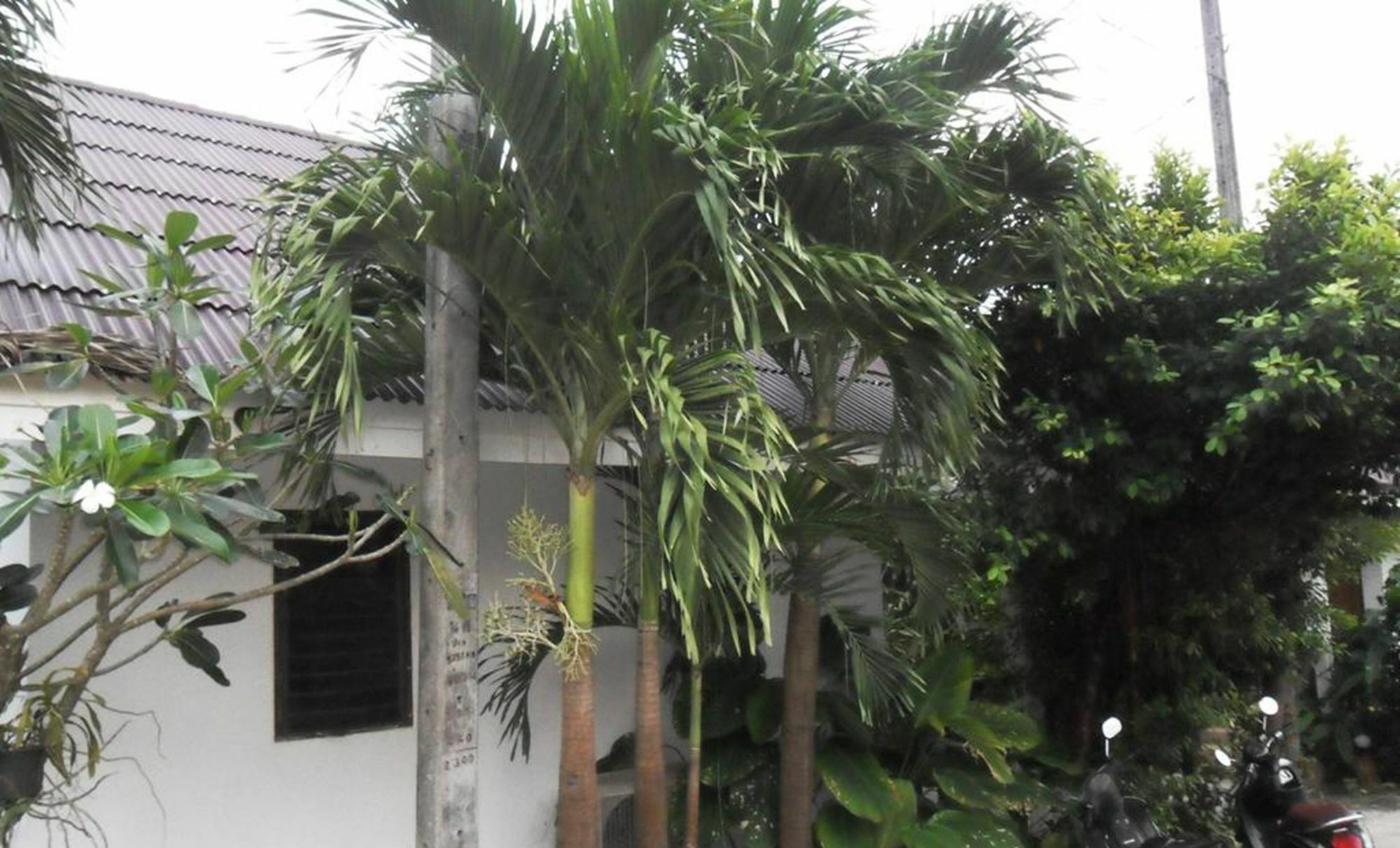 Aonang Sr Bungalows Ao Nang Екстер'єр фото